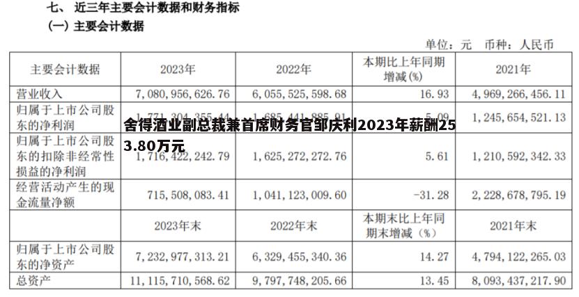 舍得酒业副总裁兼首席财务官邹庆利2023年薪酬253.80万元